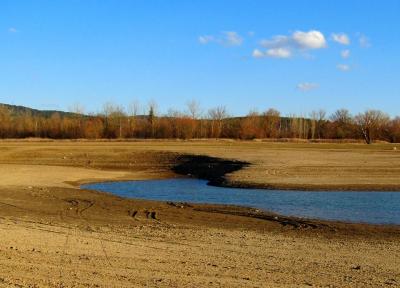 Прикрепленное изображение: 89064854_3516073255132632_6675351764738244608_o.jpg